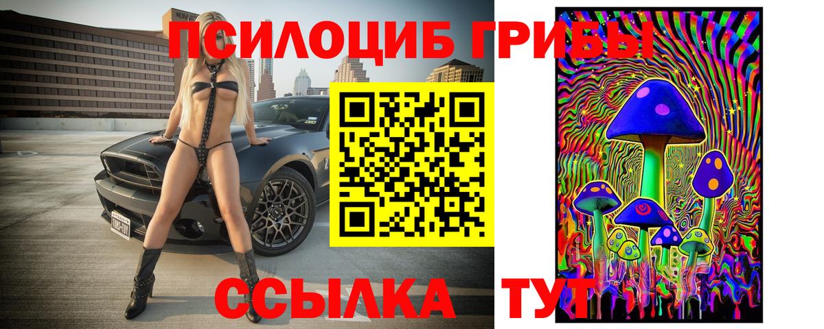 Зеленокумск  Галлюциногенные грибы GOLDEN TEACHER  Вход с VPN 